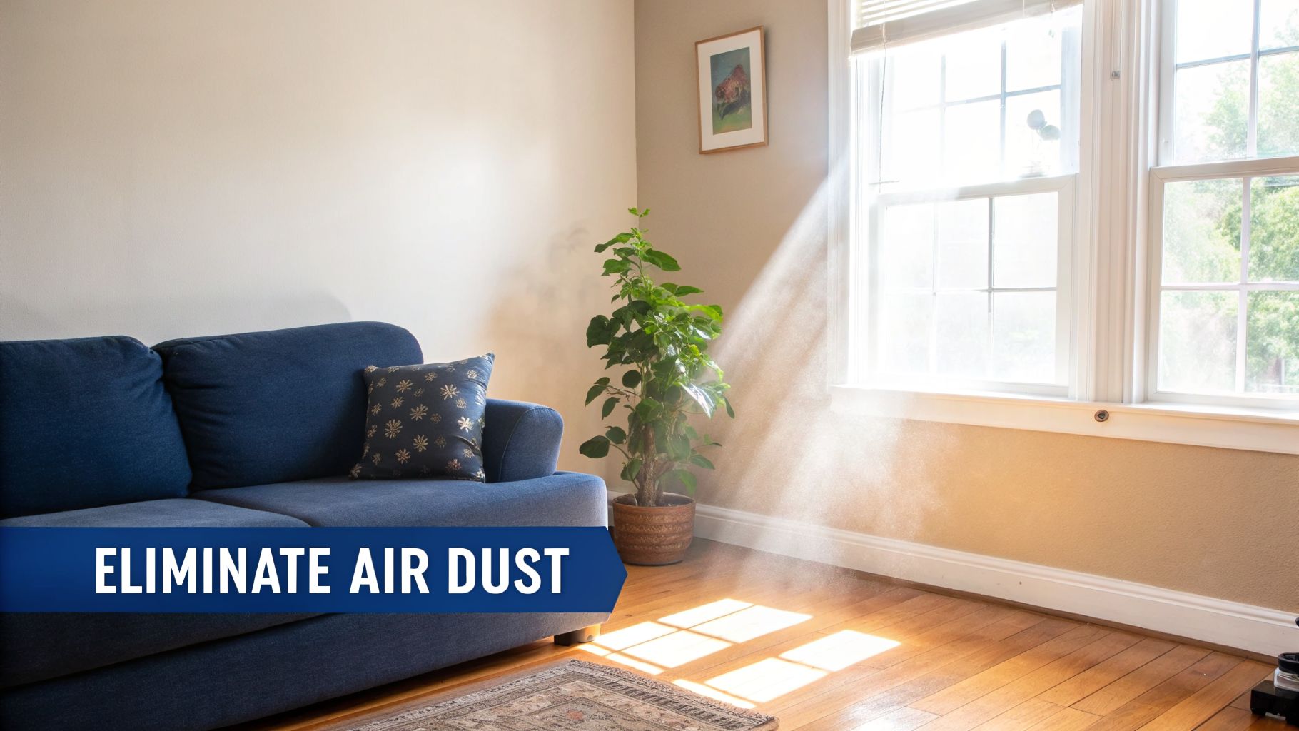 Sunlight streams into a living room, highlighting numerous dust particles floating in the air.