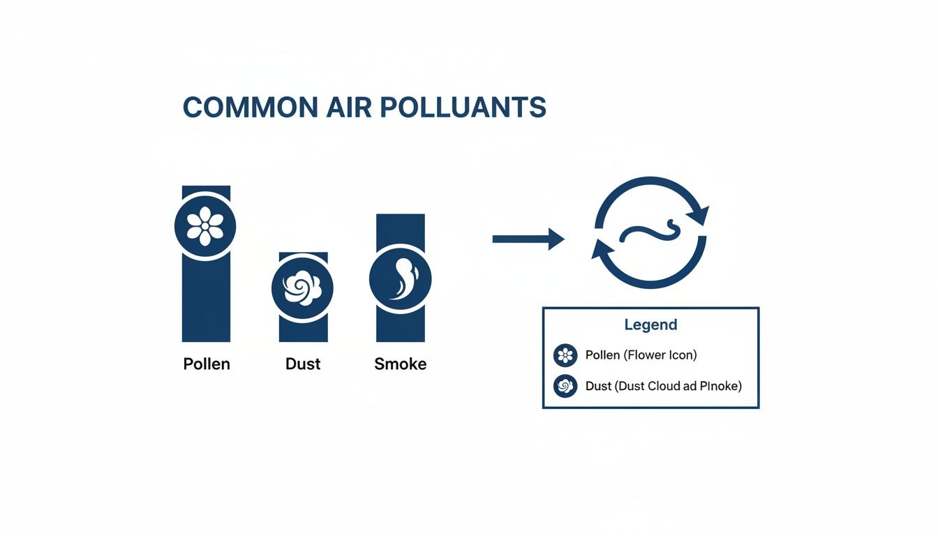 Infographic illustrating common air pollutants like pollen, dust, and smoke, with an air circulation symbol and legend.