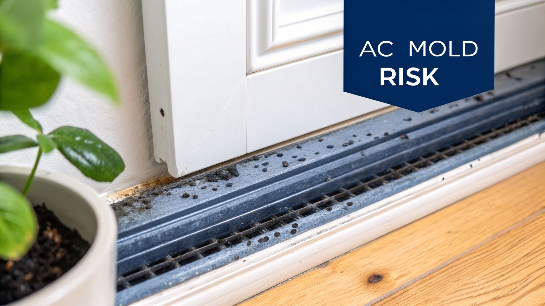 Close-up of a dirty AC floor vent with visible black mold and grime, highlighting AC mold risk.
